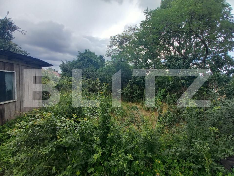 Casa de vânzare 2 camere Gheorgheni - 162284CV | BLITZ Cluj-Napoca | Poza3