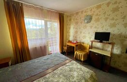 Predeal - Oportunitate Unică! 