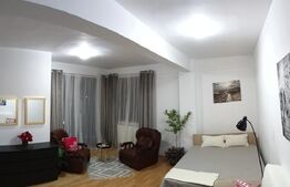 Apartament de o camera, zona Prof Ion Rus