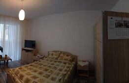 Apartament o camera, zona Florilor