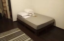 Garsoniea, 30 mp, zona-Manastur 