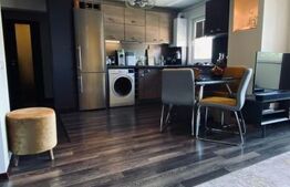 Apartament de 2 camere pe Bl. Griviței