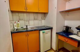 Apartament cu 3 camere decomandate, Parter Inalt, Centru, zona Horea