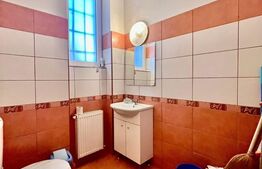 Apartament cu 3 camere decomandate, Parter Inalt, Centru, zona Horea