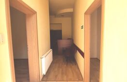 Apartament cu 3 camere decomandate, Parter Inalt, Centru, zona Horea