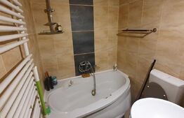 Apartament 1 camera, 30 mp, etaj intermediar, zona Cinema Mărăști