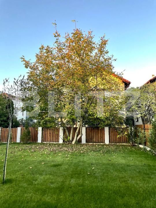 Apartament de închiriat 2 camere Central - 162412AI | BLITZ Cluj-Napoca | Poza12