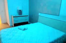 Penthouse de lux, 80mp, 3 camere, panorama, terasa de 80mp, zona Centrala