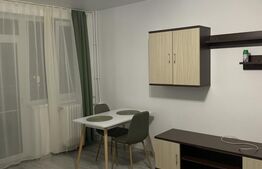 Garsonieră 28 mp, de închiriat, în cartierul Mănăștur Cluj-Napoca