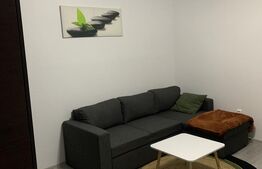 Garsonieră 28 mp, de închiriat, în cartierul Mănăștur Cluj-Napoca