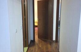 Apartament de 3 camere, mobilat/utilat