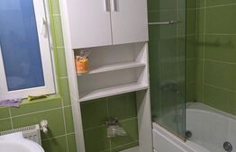 Apartament de 3 camere, mobilat/utilat