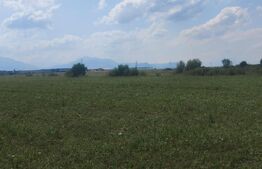 Teren 5h, zona Prejmer