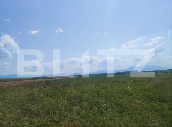 Teren de vânzare Prejmer - 162647TV | BLITZ Brașov | Poza1
