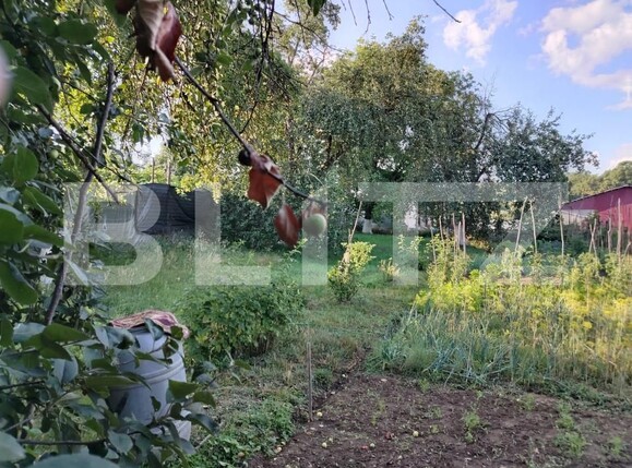 Casa de vânzare 4 camere Toderita - 162693CV | BLITZ Brașov | Poza6