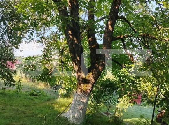 Casa de vânzare 4 camere Toderita - 162693CV | BLITZ Brașov | Poza4