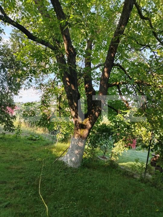 Casa de vânzare 4 camere Toderita - 162693CV | BLITZ Brașov | Poza4