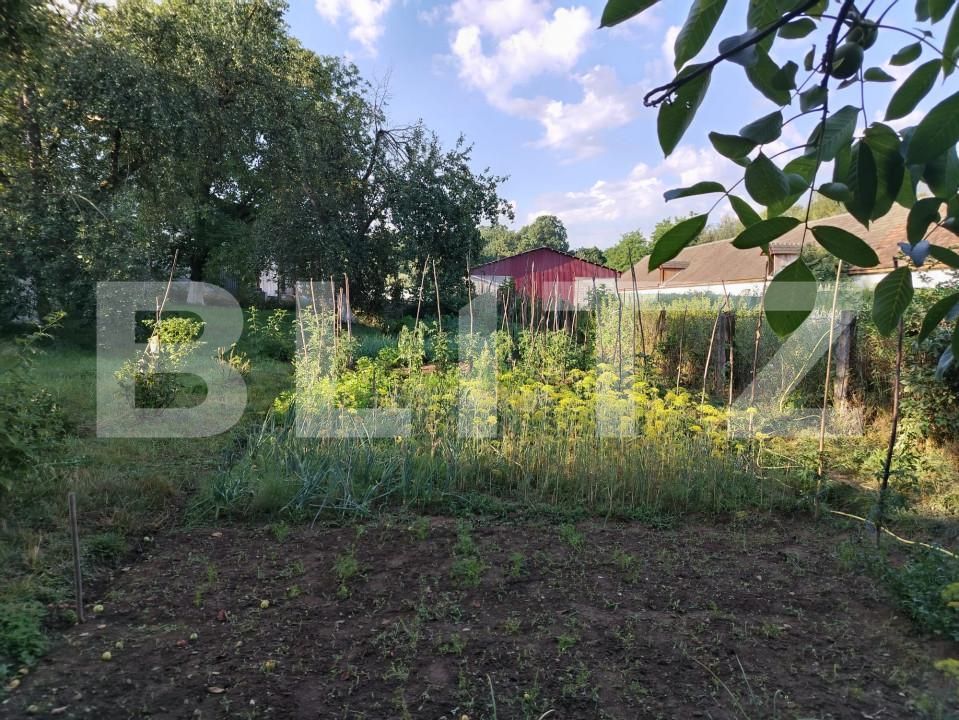 Casa de vânzare 4 camere Toderita - 162693CV | BLITZ Brașov | Poza5