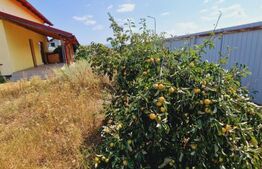 Casă 5 camere, Tărlungeni 