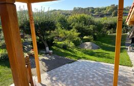 Casa batraneasca renovabila, de vanzare in Badeni!!!