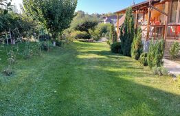 Casa batraneasca renovabila, de vanzare in Badeni!!!