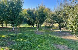 Casa batraneasca renovabila, de vanzare in Badeni!!!