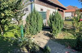 Casa batraneasca renovabila, de vanzare in Badeni!!!