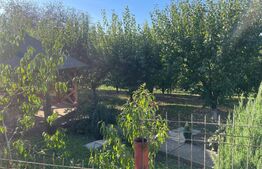 Casa batraneasca renovabila, de vanzare in Badeni!!!