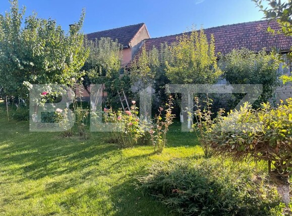 Casa de vânzare 2 camere Badeni - 162698CV | BLITZ Cluj-Napoca | Poza5