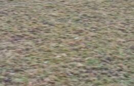 Teren Intravilan Zarnesti cu utilitati front , pentru casa,  zona centrala