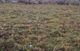 Teren Intravilan Zarnesti cu utilitati front , pentru casa,  zona centrala