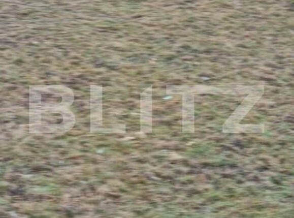 Teren de vânzare Zarnesti - 162734TV | BLITZ Brașov | Poza5