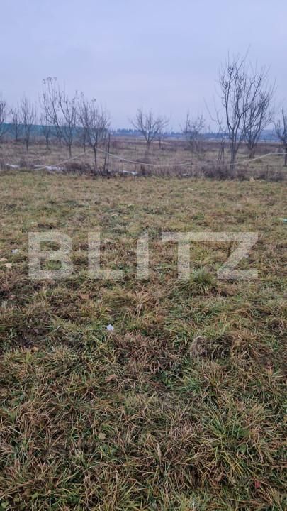 Teren de vânzare Zarnesti - 162734TV | BLITZ Brașov | Poza6