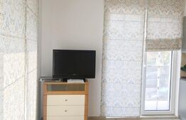 Apartament tip studio, 45 mp, balcon, modern, Iulius Mall