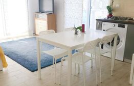 Apartament tip studio, 45 mp, balcon, modern, Iulius Mall