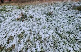 Oportunitate! Casa Individuala, 3 camere, 90 mp, 1069 mp intravilan