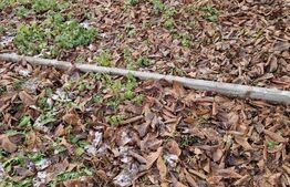 Oportunitate! Casa Individuala, 3 camere, 90 mp, 1069 mp intravilan