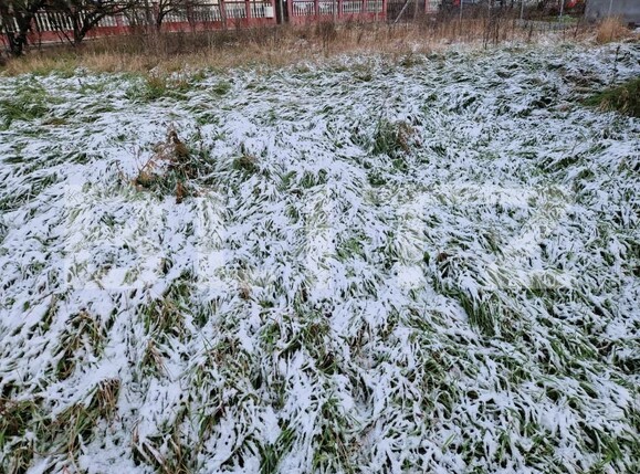 Casa de vânzare 3 camere Jucu de Sus - 162762CV | BLITZ Cluj-Napoca | Poza6