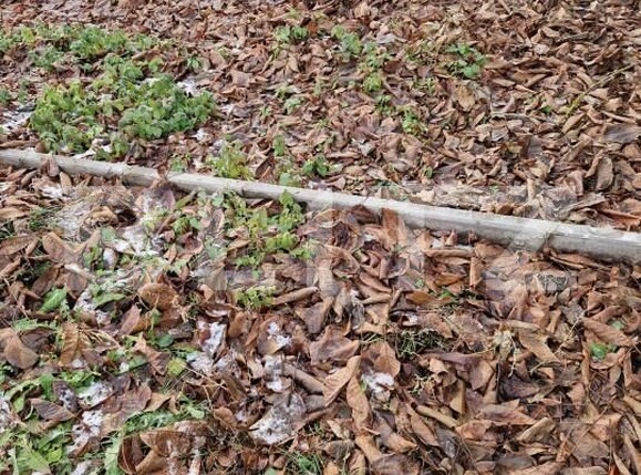 Casa de vânzare 3 camere Jucu de Sus - 162762CV | BLITZ Cluj-Napoca | Poza8