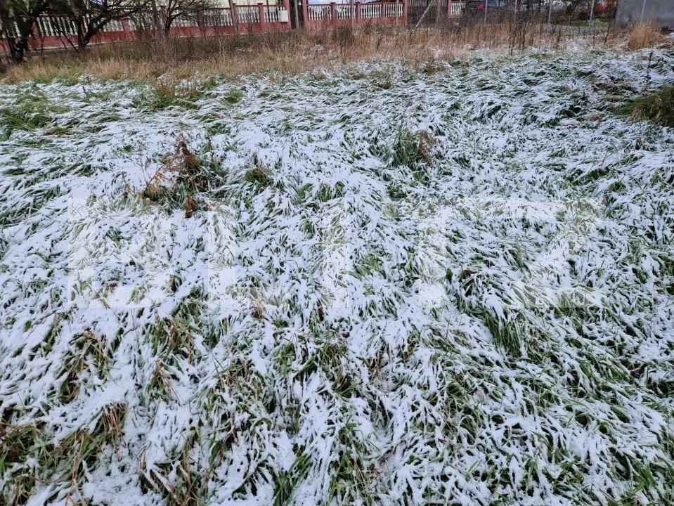 Casa de vânzare 3 camere Jucu de Sus - 162762CV | BLITZ Cluj-Napoca | Poza6