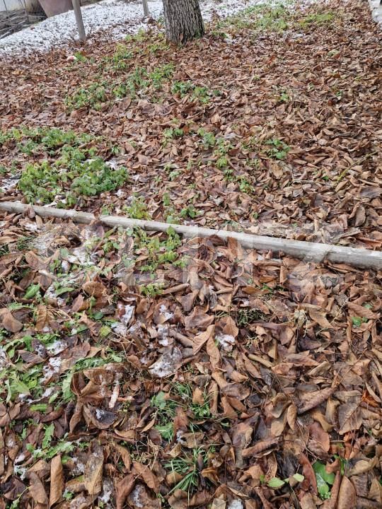 Casa de vânzare 3 camere Jucu de Sus - 162762CV | BLITZ Cluj-Napoca | Poza8