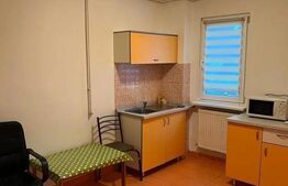 Spațiu comercial pentru investiție, 50 mp, zona Gării