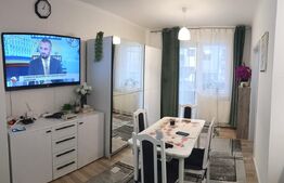 Apartament modern de o camera, etaj 1, zona sesul de sus