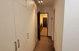 Apartament 2 camere, impecabil, pe drumul Poienii.