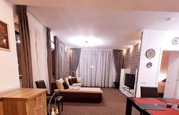 Apartament 2 camere, impecabil, pe drumul Poienii.