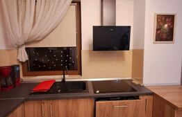 Apartament 2 camere, impecabil, pe drumul Poienii.