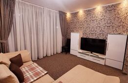 Apartament 2 camere, impecabil, pe drumul Poienii.