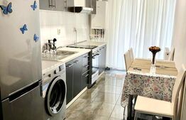 Apartament cu 1 camera, 31mp, etaj intermediar, zona Porii