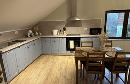 Casa individuala 2 apartamente, 151 mp, zona Centru Istoric 