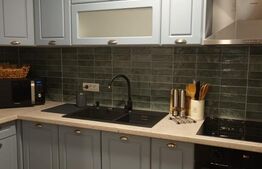 Casa individuala 2 apartamente, 151 mp, zona Centru Istoric 